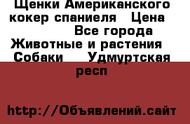 Щенки Американского кокер спаниеля › Цена ­ 15 000 - Все города Животные и растения » Собаки   . Удмуртская респ.